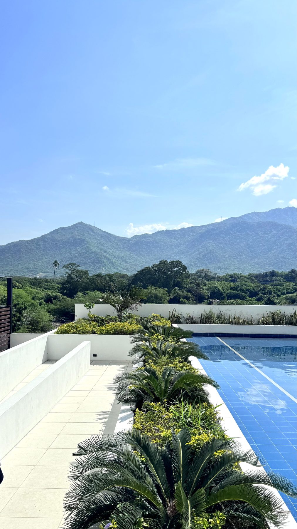Piscinas con palmeras tropicales y vista a las montañas