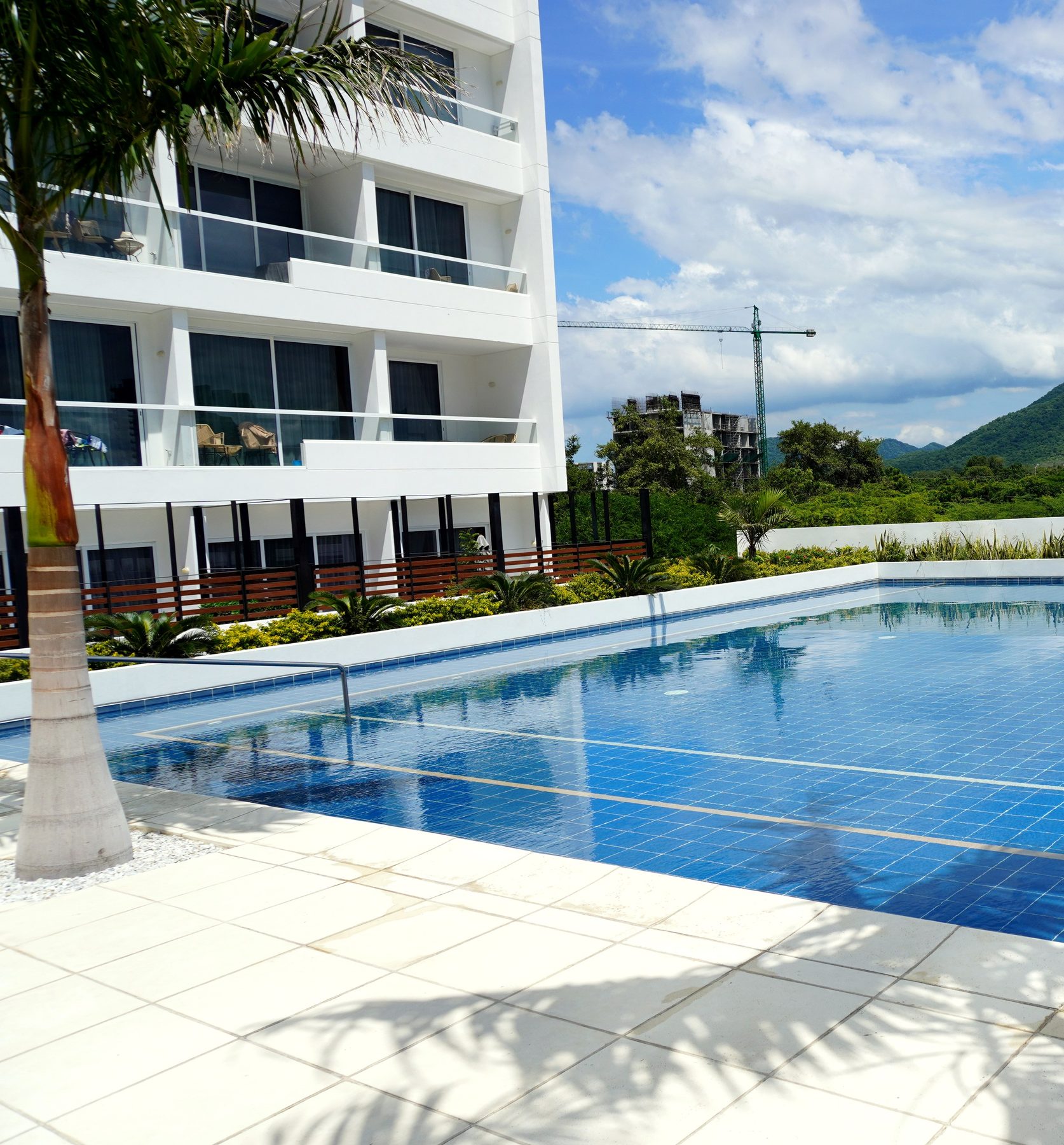 Piscina con palmera tropical